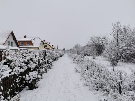 Sneeuw in Bestamsterdam: verkeer, OV en overlast