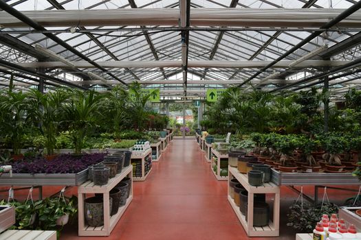Bezoekers winkelen bij een tuincentrum in Osdorp tussen kamerplanten, balkonmeubels en woonaccessoires