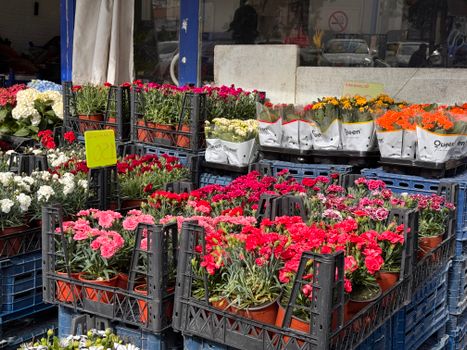 Tuincentrum Osdorp B.V.: dit wil je weten over adres, tijden en aanbod